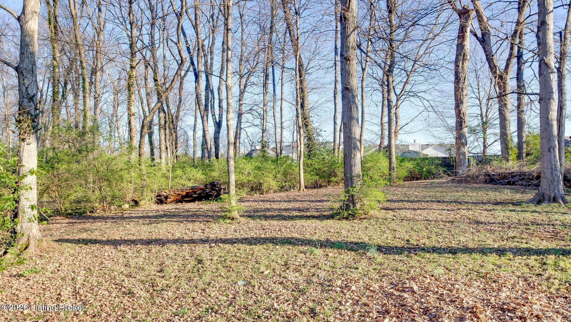 4648 Lor Ann Ave, Louisville - photo 1 of 4