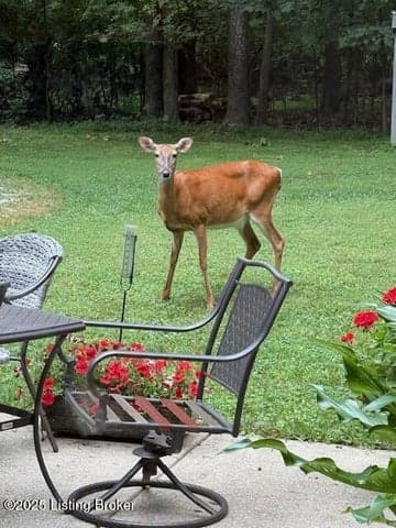 3203 Kings Ct, Bardstown - photo 4 of 61