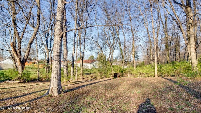 4648 Lor Ann Ave, Louisville - photo 2 of 4