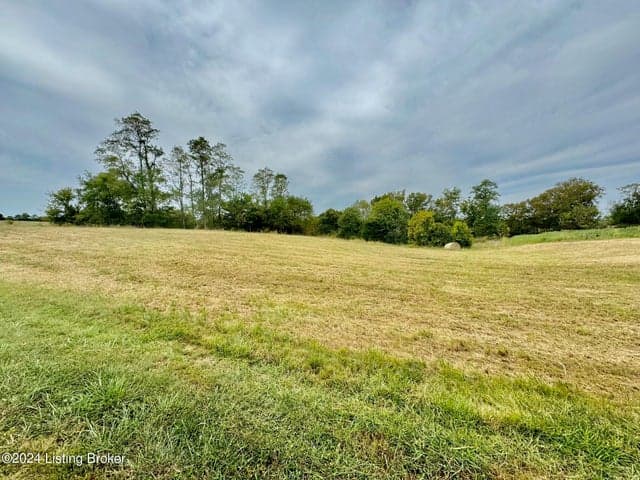 7 Hillsboro Ln, Springfield - photo 4 of 7