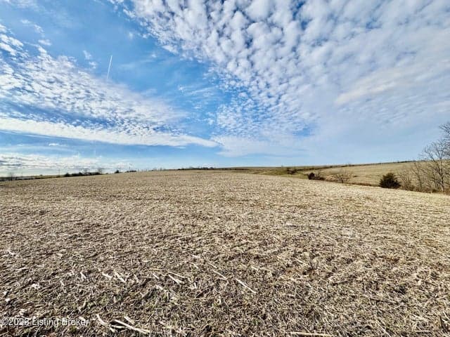 1656-3 Old Perryville Loop, Springfield - photo 5 of 6