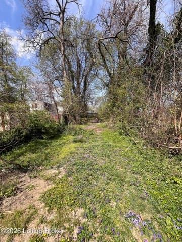 1717 Hale Ave, Louisville - photo 3 of 5