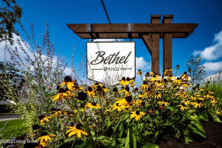 222 Bethel Springs Dr, Mt Washington - photo 3 of 4